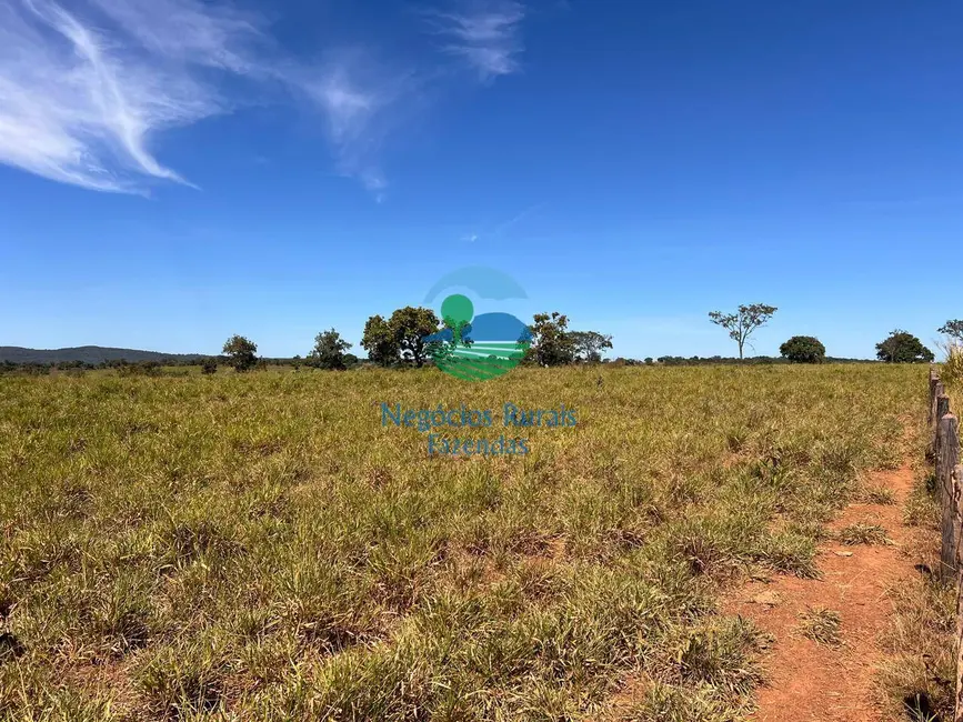 Foto 6 de Fazenda / Haras com 5 quartos à venda, 774m2 em Setor Central, Estrela Do Norte - GO