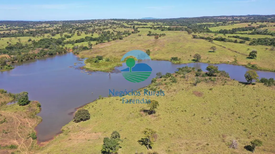 Foto 7 de Fazenda / Haras com 5 quartos à venda, 774m2 em Setor Central, Estrela Do Norte - GO