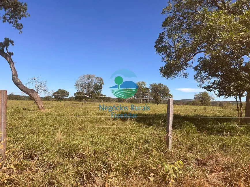 Foto 9 de Fazenda / Haras com 5 quartos à venda, 774m2 em Setor Central, Estrela Do Norte - GO