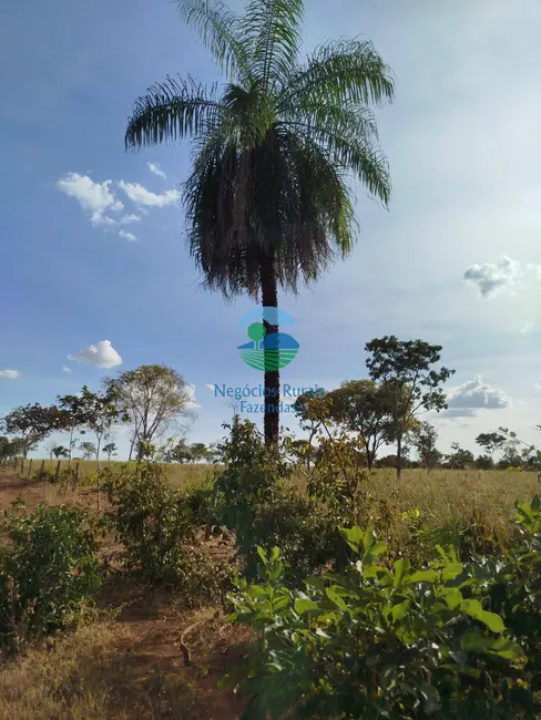 Foto 1 de Chácara à venda, 20m2 em Alto Horizonte - GO