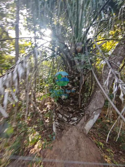 Foto 6 de Chácara à venda, 20m2 em Alto Horizonte - GO