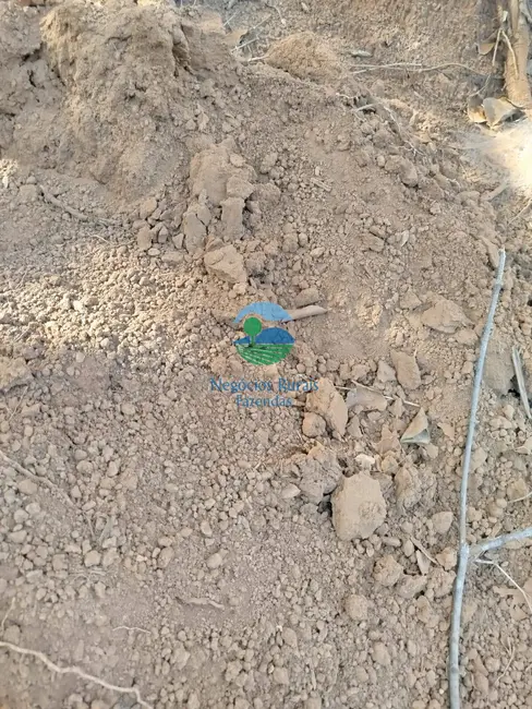 Foto 2 de Chácara à venda, 20m2 em Alto Horizonte - GO