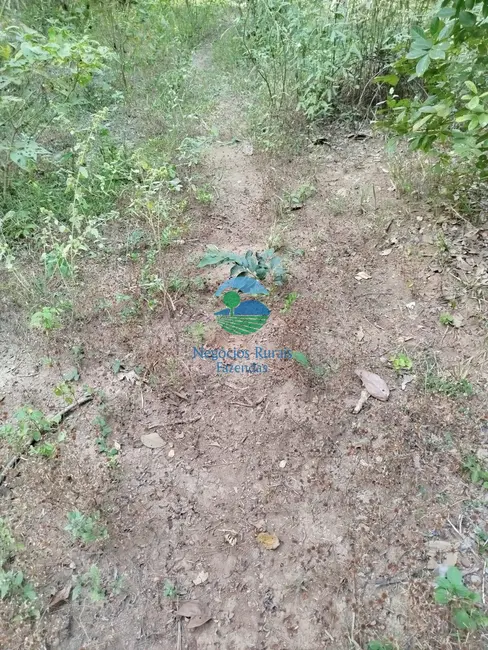 Foto 5 de Chácara à venda, 20m2 em Alto Horizonte - GO