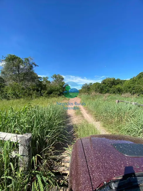 Foto 1 de Fazenda / Haras com 8 quartos à venda, 2473m2 em Centro, Cocalinho - MT