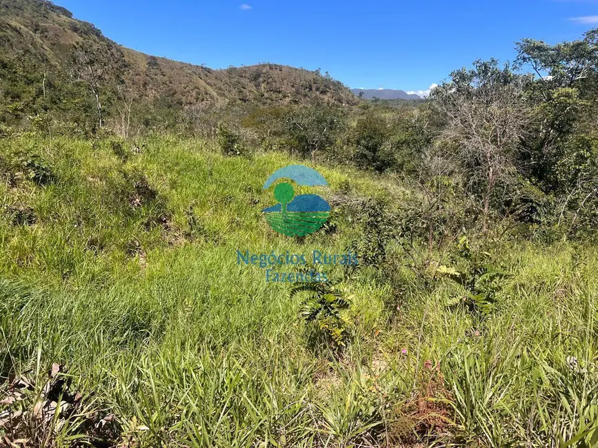 Fazenda / Haras com 6 quartos à venda, 740m2 em Niquelandia - GO - imagem 5 Foto 5 de Fazenda / Haras com 6 quartos à venda, 740m2 em Niquelandia - GO