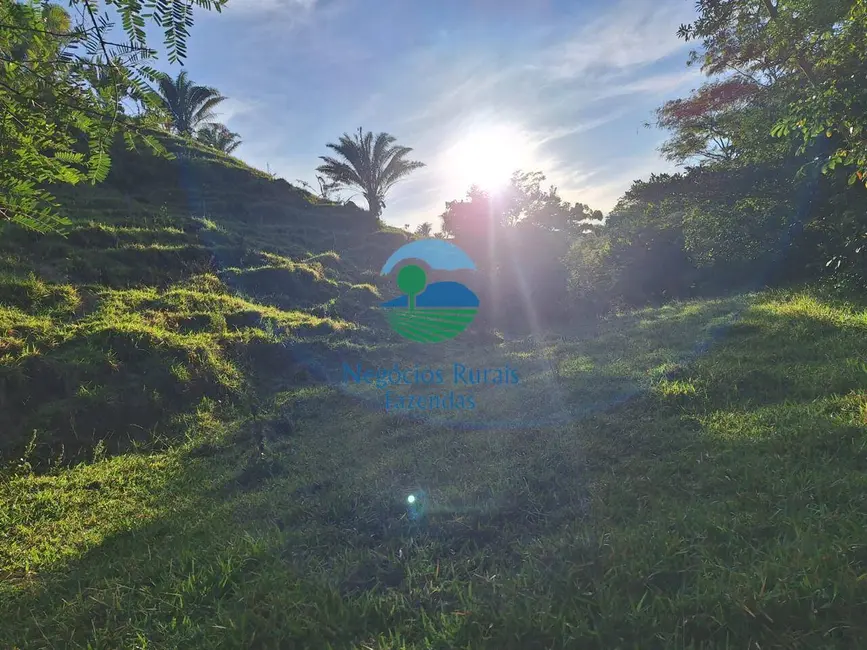 Fazenda / Haras com 6 quartos à venda, 740m2 em Niquelandia - GO - imagem 4 Foto 4 de Fazenda / Haras com 6 quartos à venda, 740m2 em Niquelandia - GO