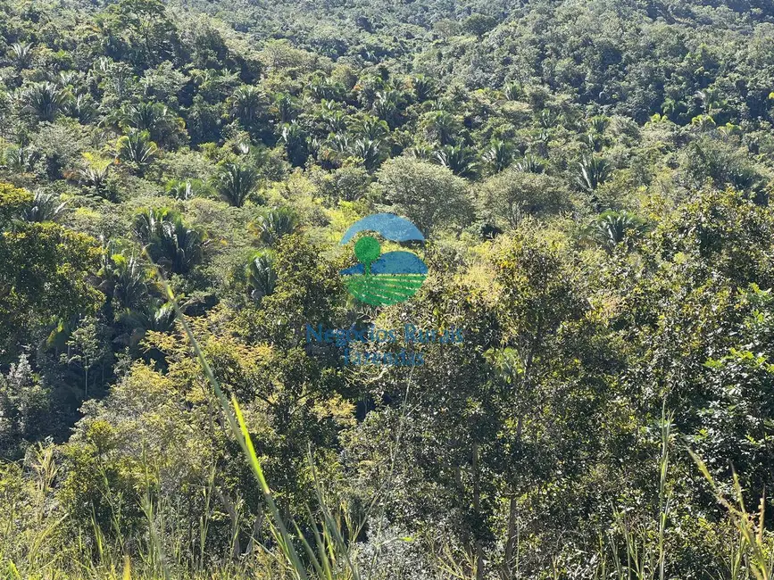 Fazenda / Haras com 6 quartos à venda, 740m2 em Niquelandia - GO - imagem 9 Foto 9 de Fazenda / Haras com 6 quartos à venda, 740m2 em Niquelandia - GO