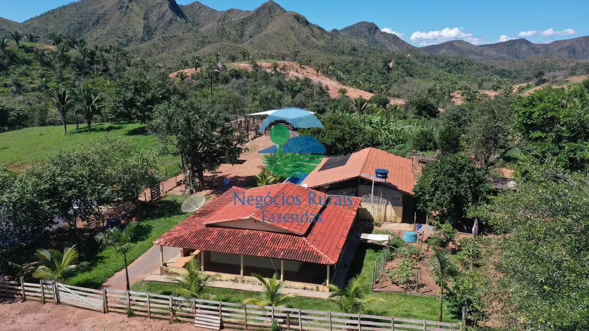 Fazenda / Haras com 6 quartos à venda, 740m2 em Niquelandia - GO - imagem 3 Foto 3 de Fazenda / Haras com 6 quartos à venda, 740m2 em Niquelandia - GO