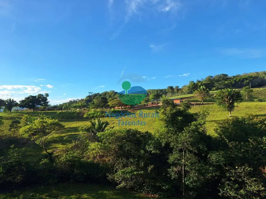 Fazenda / Haras com 6 quartos à venda, 740m2 em Niquelandia - GO - imagem 8 Foto 8 de Fazenda / Haras com 6 quartos à venda, 740m2 em Niquelandia - GO