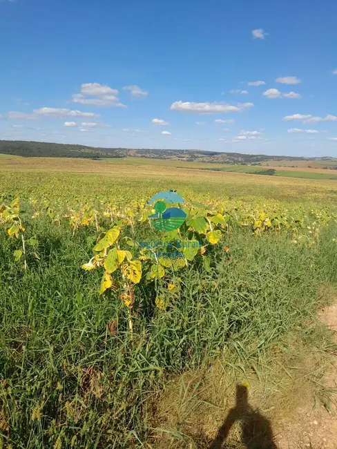 Fazenda / Haras com 12 quartos à venda, 788m2 em Caldas Novas - GO - imagem 8 Foto 8 de Fazenda / Haras com 12 quartos à venda, 788m2 em Caldas Novas - GO