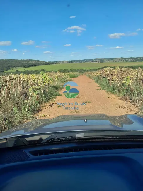 Fazenda / Haras com 12 quartos à venda, 788m2 em Caldas Novas - GO - imagem 9 Foto 9 de Fazenda / Haras com 12 quartos à venda, 788m2 em Caldas Novas - GO