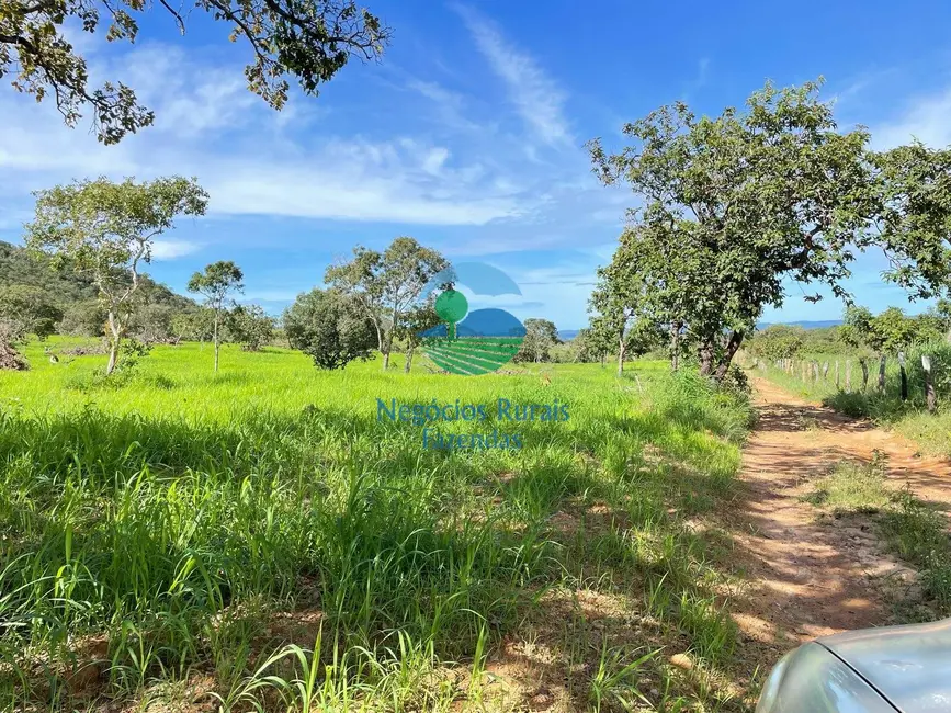 Sítio / Rancho com 2 quartos à venda, 14m2 em Uruacu - GO - imagem 2 Foto 2 de Sítio / Rancho com 2 quartos à venda, 14m2 em Uruacu - GO