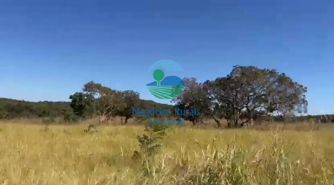 Sítio / Rancho com 2 quartos à venda, 14m2 em Uruacu - GO - imagem 9 Foto 9 de Sítio / Rancho com 2 quartos à venda, 14m2 em Uruacu - GO
