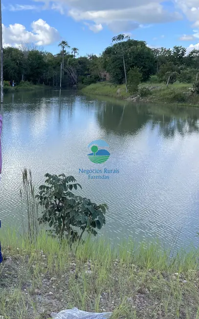 Sítio / Rancho com 2 quartos à venda, 14m2 em Uruacu - GO - imagem 5 Foto 5 de Sítio / Rancho com 2 quartos à venda, 14m2 em Uruacu - GO