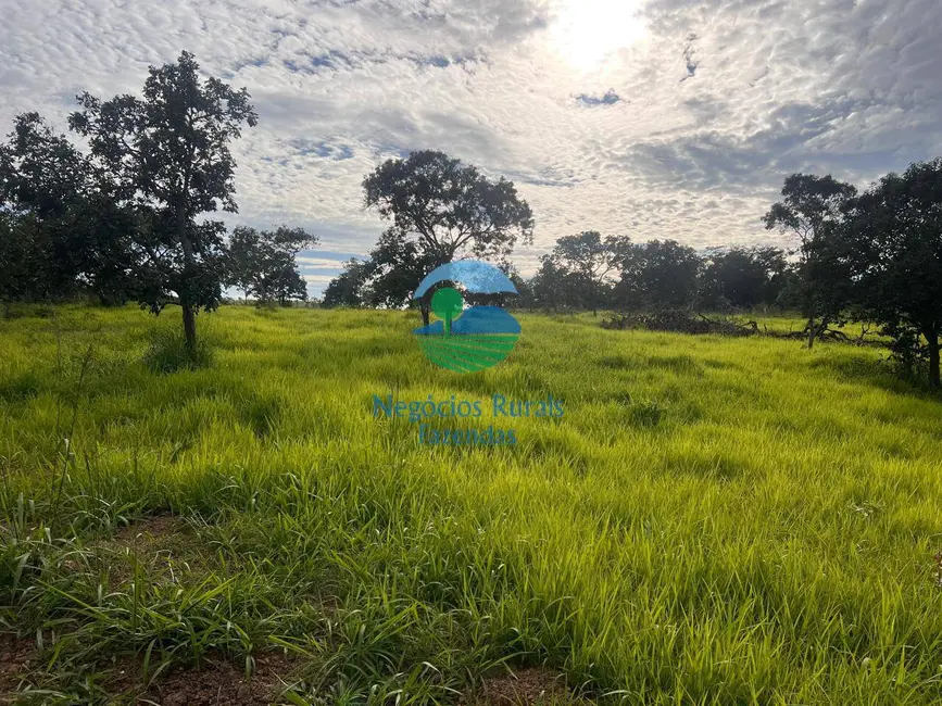 Sítio / Rancho com 2 quartos à venda, 14m2 em Uruacu - GO - imagem 3 Foto 3 de Sítio / Rancho com 2 quartos à venda, 14m2 em Uruacu - GO