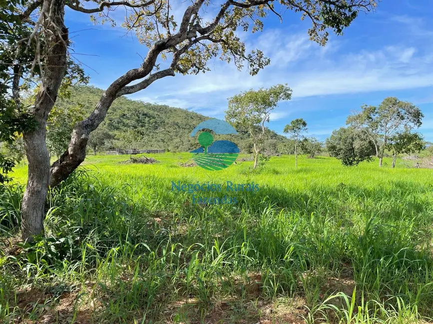 Sítio / Rancho com 2 quartos à venda, 14m2 em Uruacu - GO - imagem 4 Foto 4 de Sítio / Rancho com 2 quartos à venda, 14m2 em Uruacu - GO
