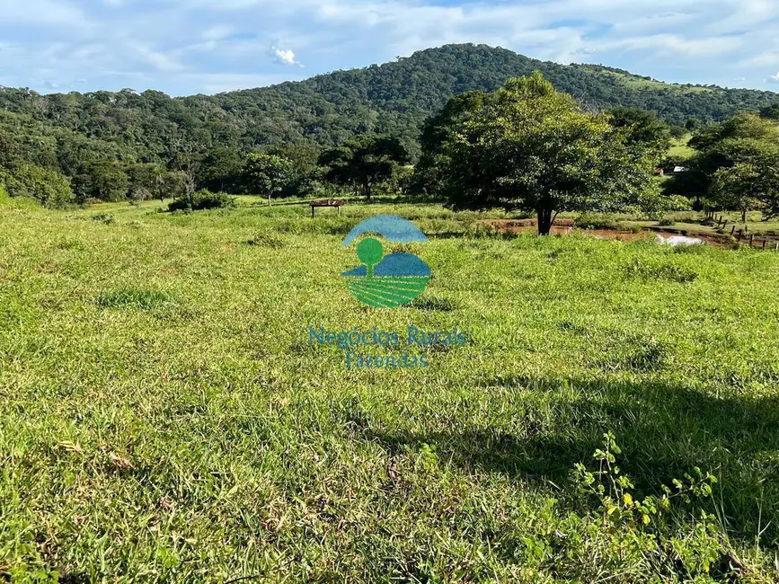 Fazenda / Haras à venda, 464m2 em Rialma - GO - imagem 9 Foto 9 de Fazenda / Haras à venda, 464m2 em Rialma - GO