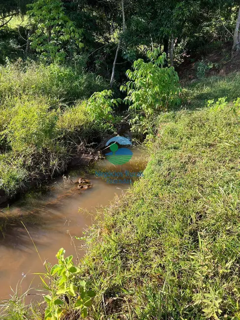Fazenda / Haras à venda, 464m2 em Rialma - GO - imagem 5 Foto 5 de Fazenda / Haras à venda, 464m2 em Rialma - GO