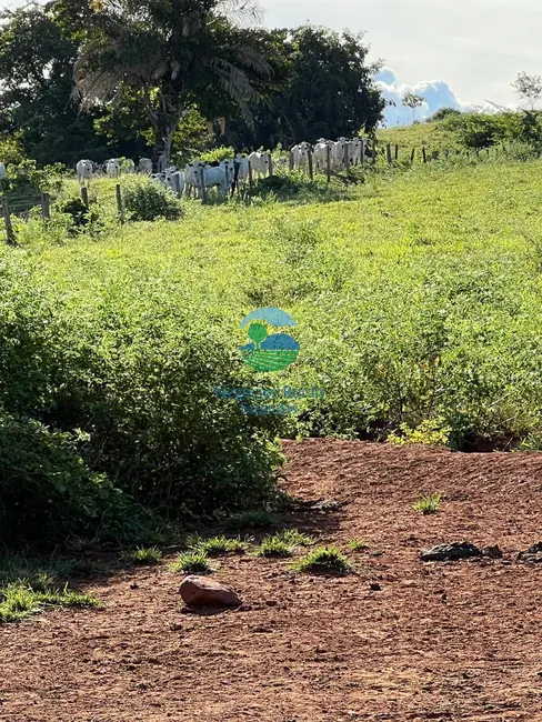 Fazenda / Haras à venda, 464m2 em Rialma - GO - imagem 4 Foto 4 de Fazenda / Haras à venda, 464m2 em Rialma - GO