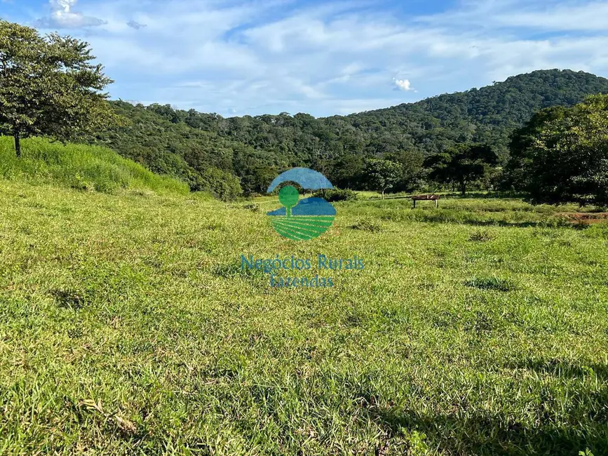 Fazenda / Haras à venda, 464m2 em Rialma - GO - imagem 8 Foto 8 de Fazenda / Haras à venda, 464m2 em Rialma - GO