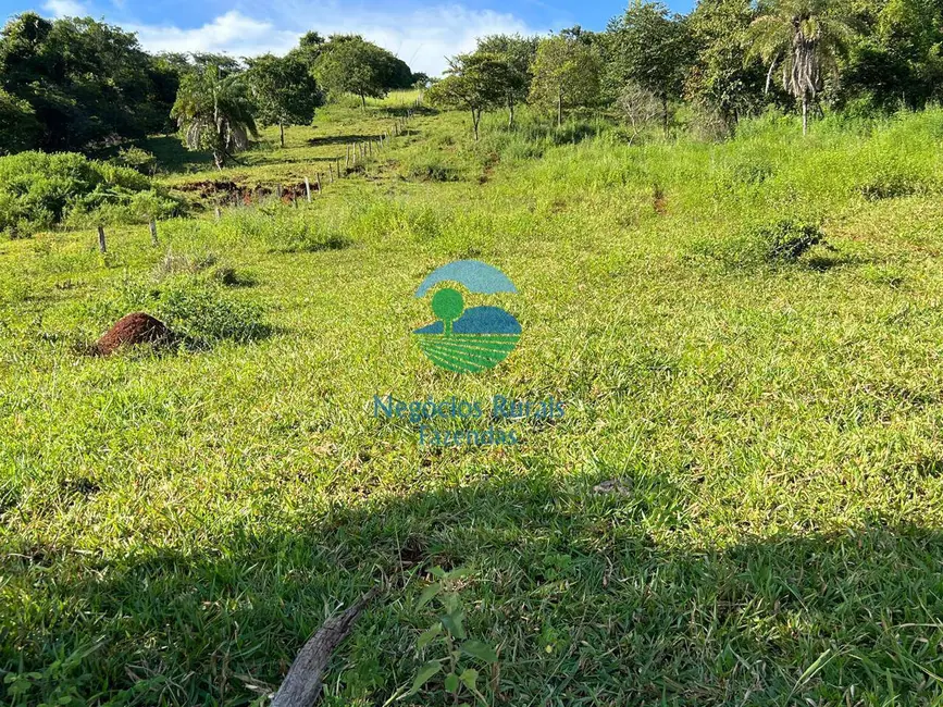 Fazenda / Haras à venda, 464m2 em Rialma - GO - imagem 7 Foto 7 de Fazenda / Haras à venda, 464m2 em Rialma - GO