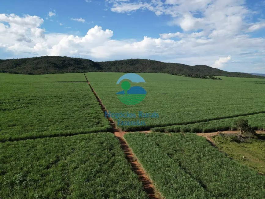 Foto 1 de Fazenda / Haras com 6 quartos à venda, 517m2 em Área Rural de Goianésia, Goianesia - GO