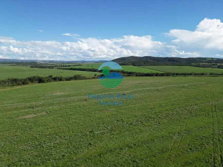 Foto 8 de Fazenda / Haras com 6 quartos à venda, 517m2 em Área Rural de Goianésia, Goianesia - GO