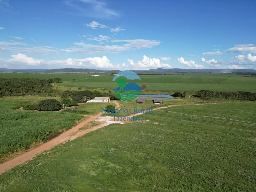Foto 3 de Fazenda / Haras com 6 quartos à venda, 517m2 em Área Rural de Goianésia, Goianesia - GO