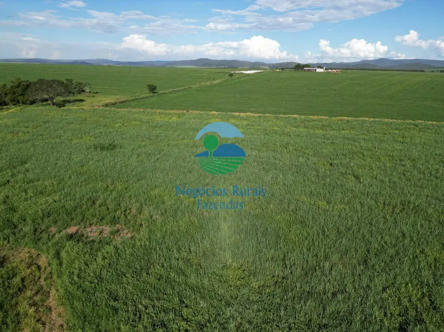 Foto 4 de Fazenda / Haras com 6 quartos à venda, 517m2 em Área Rural de Goianésia, Goianesia - GO