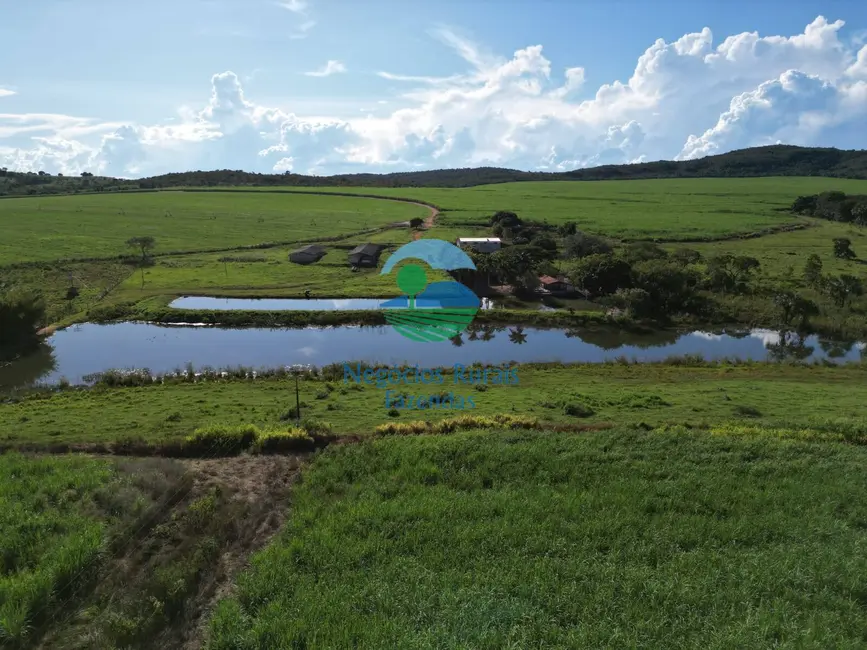 Foto 5 de Fazenda / Haras com 6 quartos à venda, 517m2 em Área Rural de Goianésia, Goianesia - GO