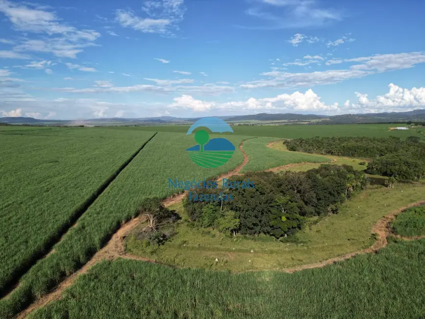 Foto 9 de Fazenda / Haras com 6 quartos à venda, 517m2 em Área Rural de Goianésia, Goianesia - GO