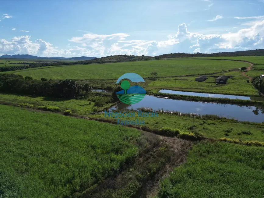 Foto 7 de Fazenda / Haras com 6 quartos à venda, 517m2 em Área Rural de Goianésia, Goianesia - GO