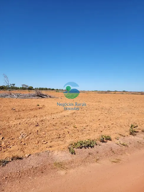 Foto 9 de Fazenda / Haras com 1 quarto à venda, 1703m2 em Porto Nacional - TO