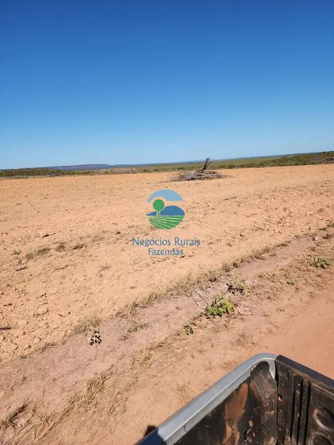 Foto 4 de Fazenda / Haras com 1 quarto à venda, 1703m2 em Porto Nacional - TO