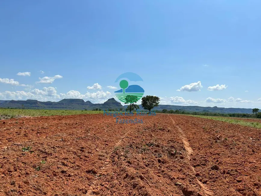 Foto 4 de Fazenda / Haras com 9 quartos à venda, 1670m2 em Recursolandia - TO