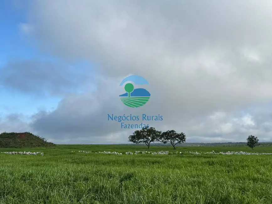 Foto 5 de Fazenda / Haras com 9 quartos à venda, 1670m2 em Recursolandia - TO