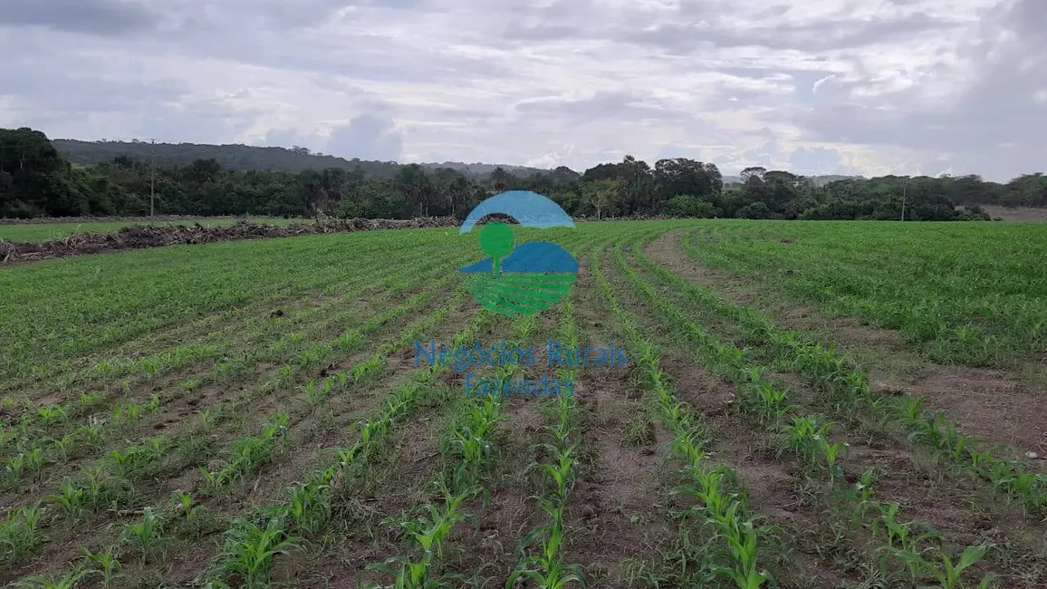 Foto 3 de Fazenda / Haras à venda, 218m2 em Itapuranga - GO