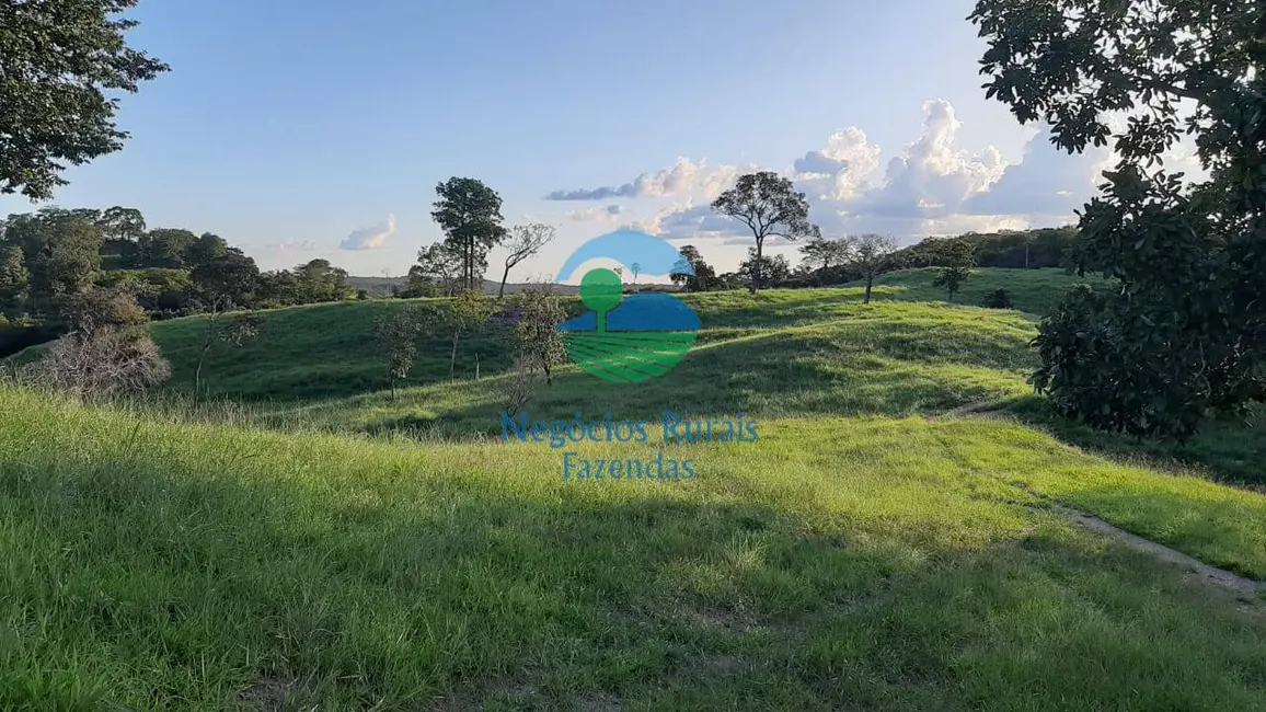 Foto 4 de Fazenda / Haras à venda, 218m2 em Itapuranga - GO