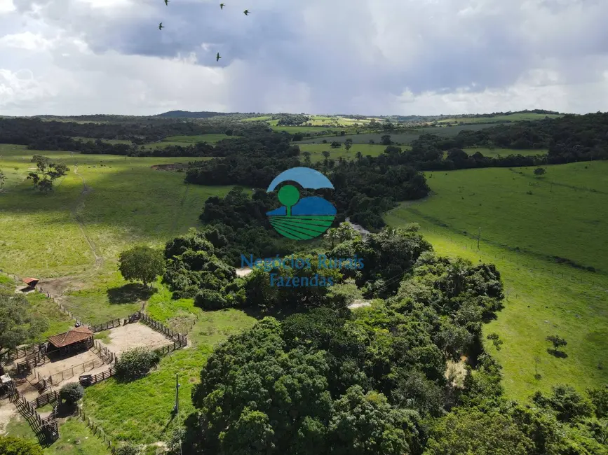 Foto 5 de Fazenda / Haras à venda, 218m2 em Itapuranga - GO