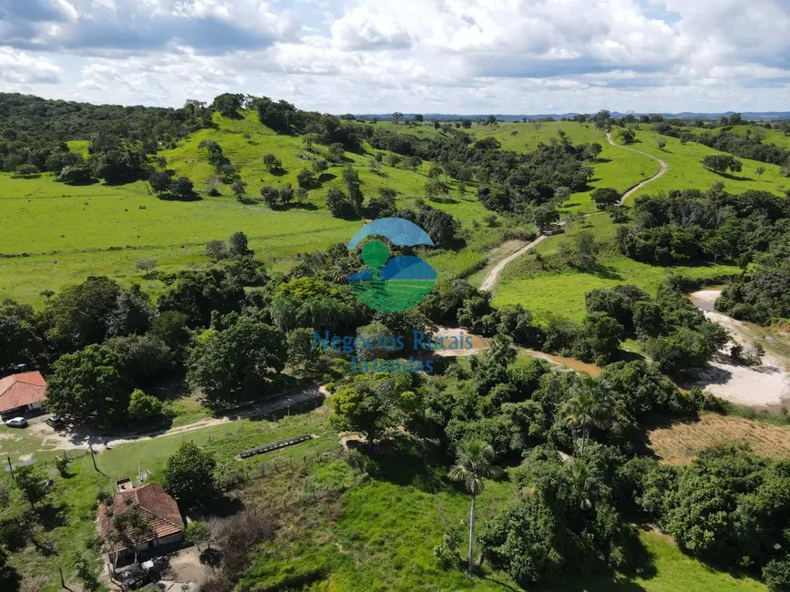 Foto 1 de Fazenda / Haras à venda, 218m2 em Itapuranga - GO