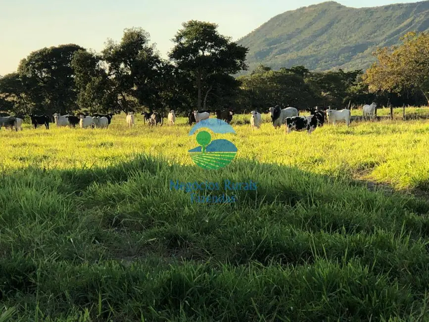Foto 6 de Fazenda / Haras à venda, 640m2 em Centro, Formosa - GO