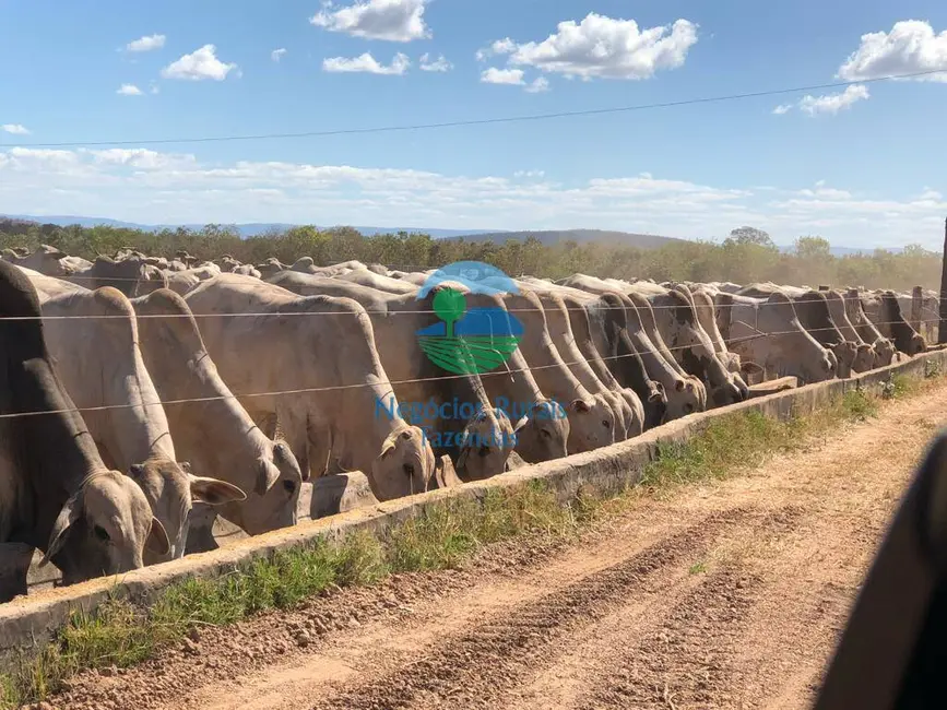 Foto 7 de Fazenda / Haras à venda, 640m2 em Centro, Formosa - GO