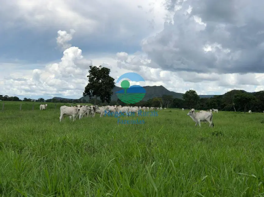 Foto 1 de Fazenda / Haras à venda, 640m2 em Centro, Formosa - GO
