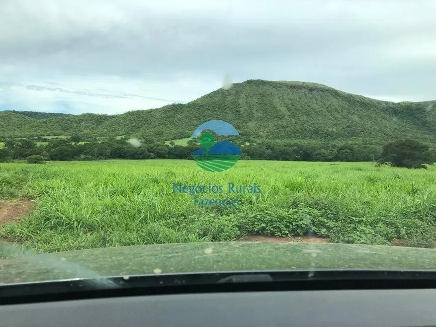 Foto 9 de Fazenda / Haras à venda, 640m2 em Centro, Formosa - GO