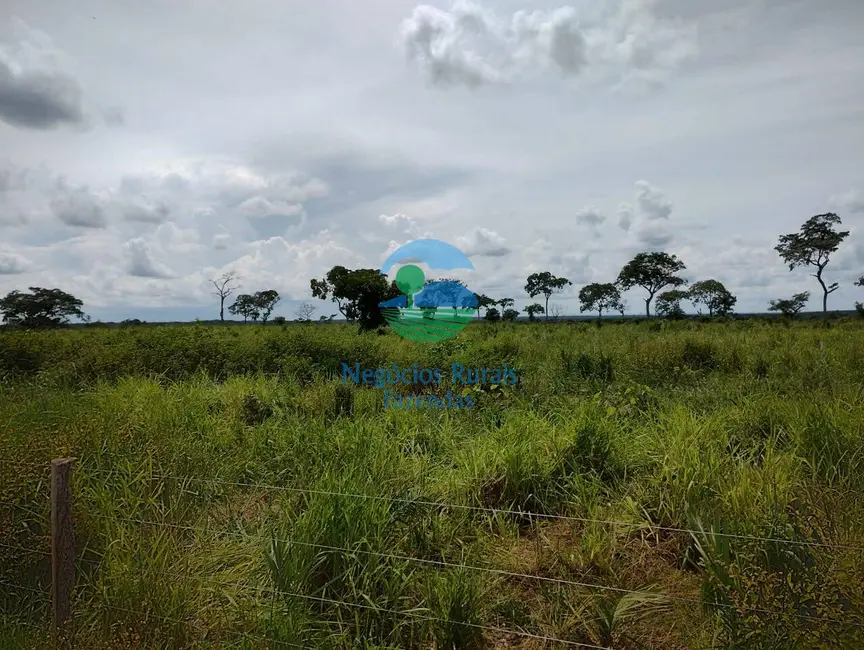 Foto 10 de Fazenda / Haras à venda em Parana - TO