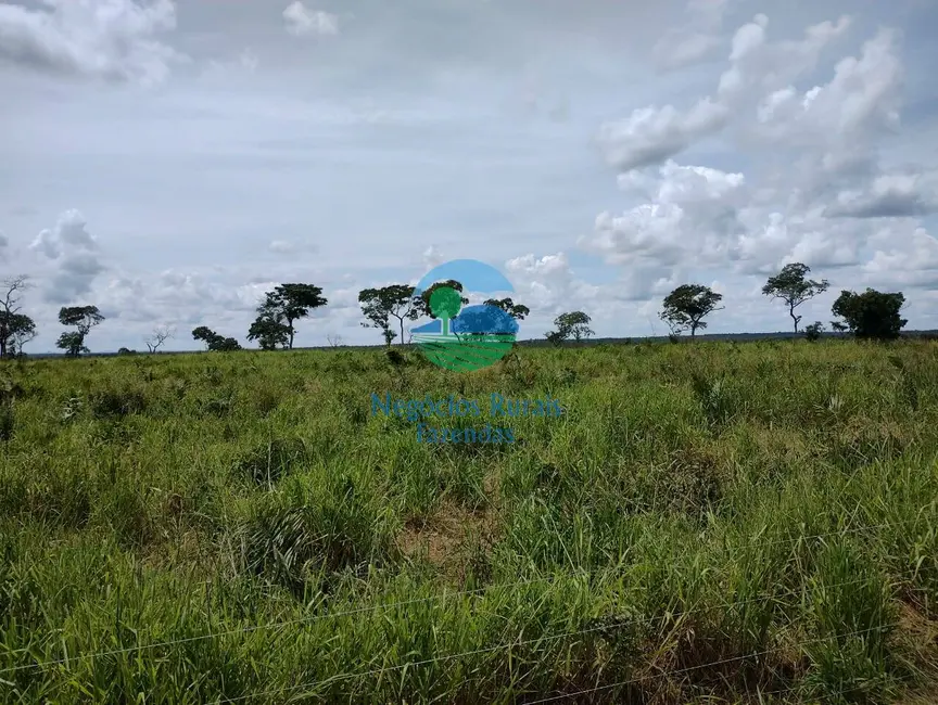 Foto 7 de Fazenda / Haras à venda em Parana - TO