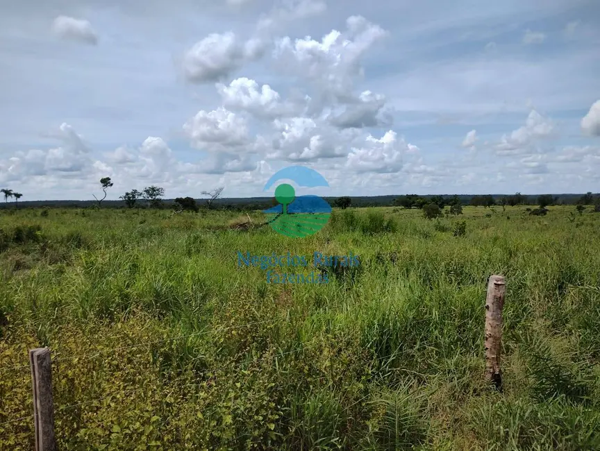 Foto 8 de Fazenda / Haras à venda em Parana - TO