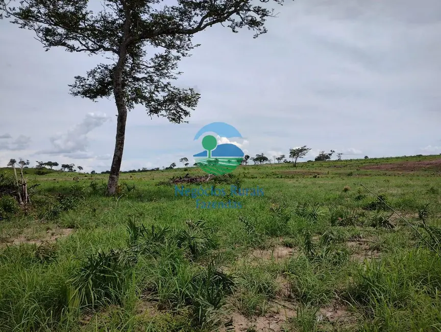 Foto 6 de Fazenda / Haras à venda em Parana - TO