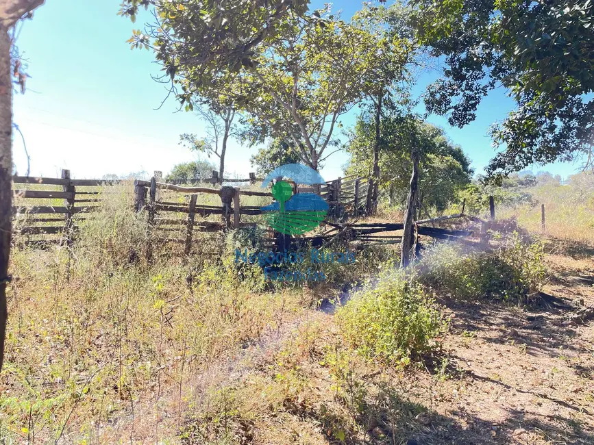Foto 3 de Fazenda / Haras à venda, 31m2 em Uruacu - GO