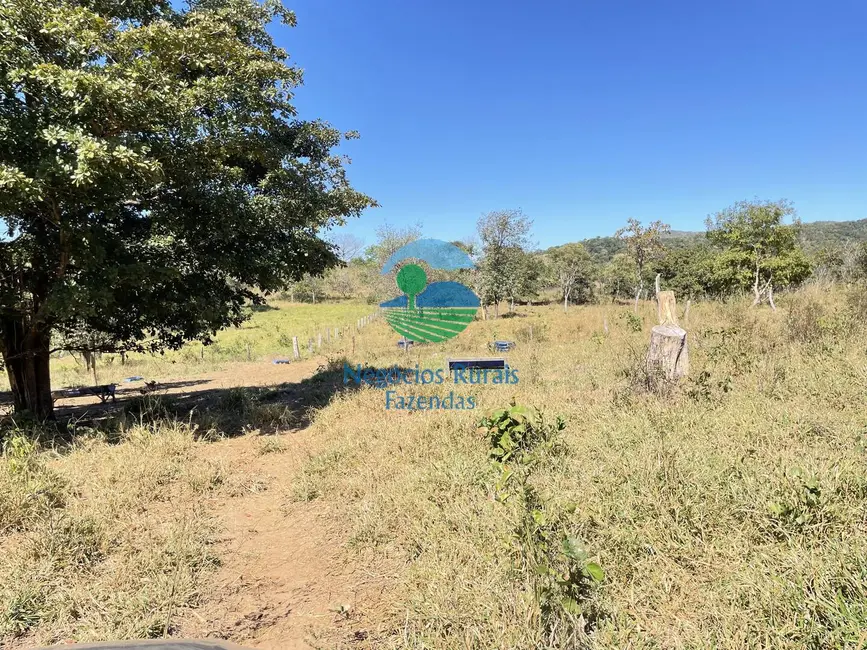 Foto 6 de Fazenda / Haras à venda, 31m2 em Uruacu - GO